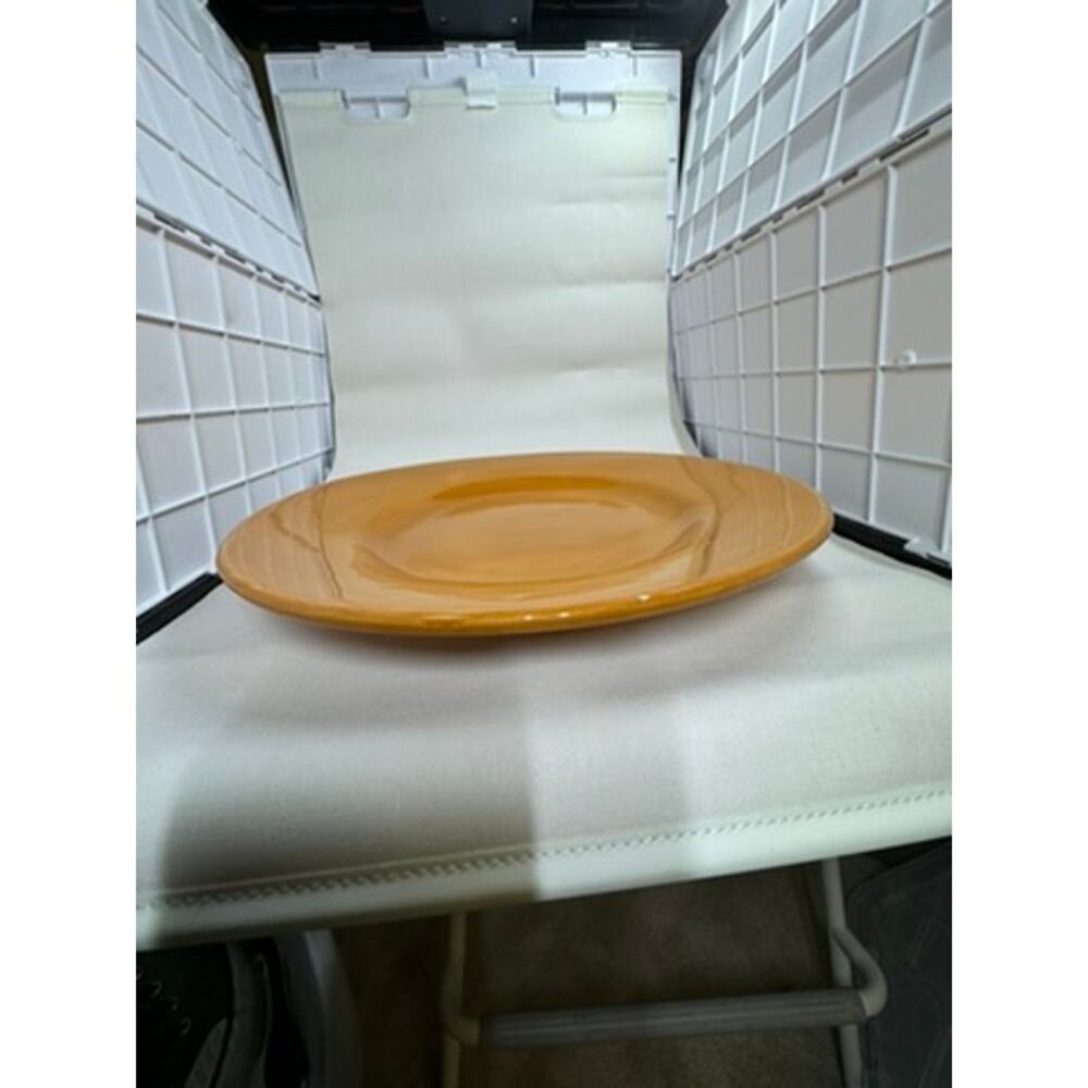 Pottery Barn "SAUSALITO" 12"‎ Plate Yellow